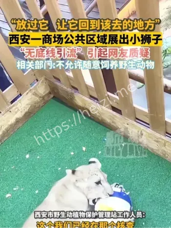 西安商场小狮子事件