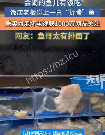 饭店喷水鱼